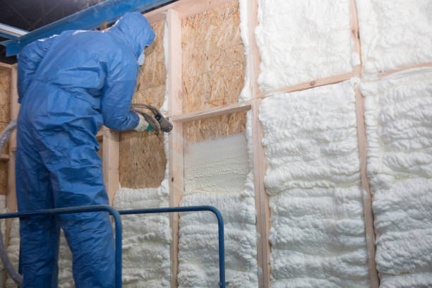 Best Crawl Space Insulation  in New Waverly, TX